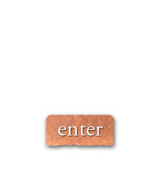 enter button