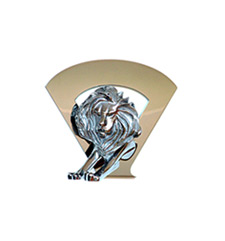 Cannes Lion